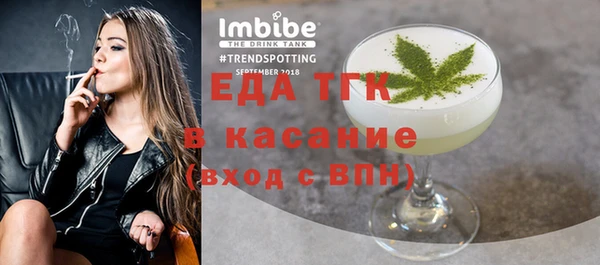 spice Богородицк