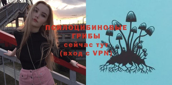 a pvp Богданович