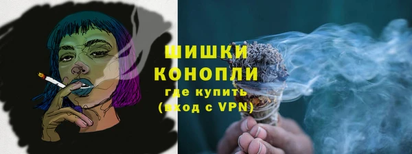 spice Богородицк
