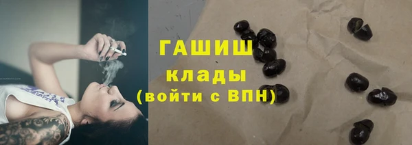 spice Богородицк