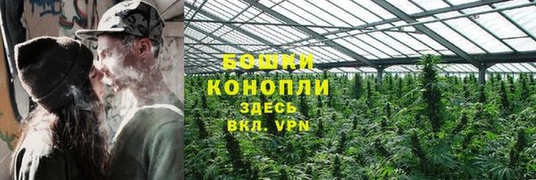 сатива Богородск