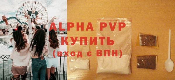 spice Богородицк
