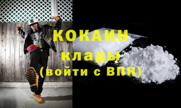 spice Богородицк