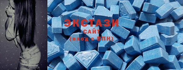spice Богородицк